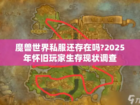 魔兽世界私服还存在吗?2025年怀旧玩家生存现状调查