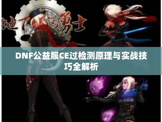 DNF公益服CE过检测原理与实战技巧全解析