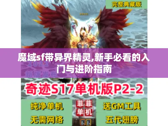 魔域sf带异界精灵,新手必看的入门与进阶指南