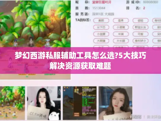 梦幻西游私服辅助工具怎么选?5大技巧解决资源获取难题