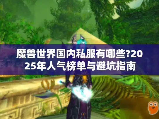 魔兽世界国内私服有哪些?2025年人气榜单与避坑指南