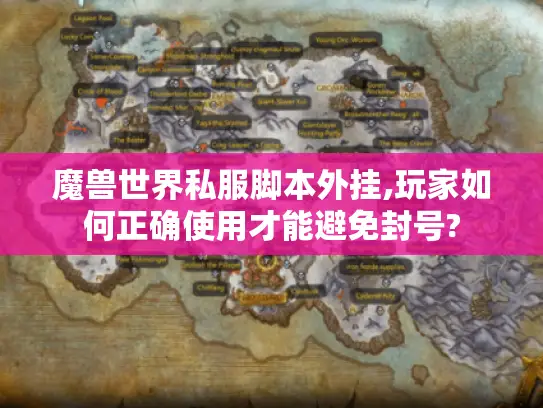 魔兽世界私服脚本外挂,玩家如何正确使用才能避免封号?