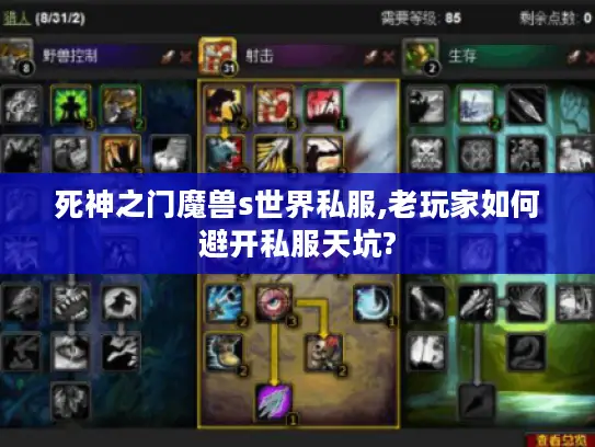 死神之门魔兽s世界私服,老玩家如何避开私服天坑?