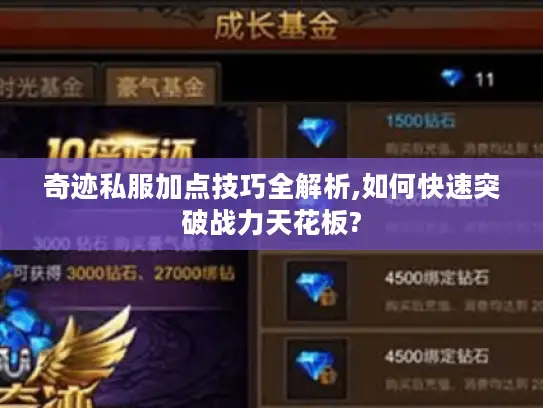 奇迹私服加点技巧全解析,如何快速突破战力天花板?