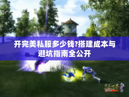 开完美私服多少钱?搭建成本与避坑指南全公开