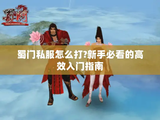 蜀门私服怎么打?新手必看的高效入门指南