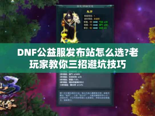 DNF公益服发布站怎么选?老玩家教你三招避坑技巧