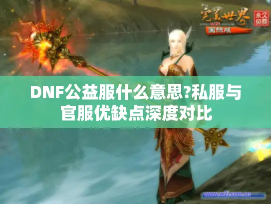 DNF公益服什么意思?私服与官服优缺点深度对比