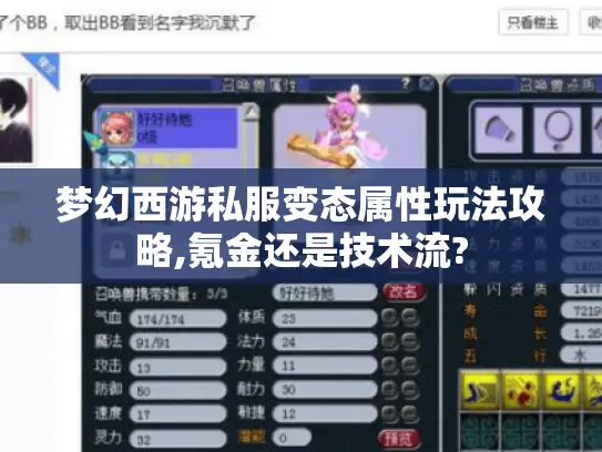 梦幻西游私服变态属性玩法攻略,氪金还是技术流? 梦幻西游私服变态属性玩法攻略,氪金还是技术流?