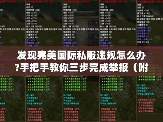 发现完美国际私服违规怎么办?手把手教你三步完成举报(附最新举报通道) 发现完美国际私服违规怎么办?手把手教你三步完成举报(附最新举报通道)