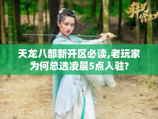 天龙八部新开区必读,老玩家为何总选凌晨5点入驻?