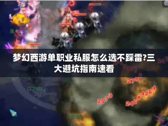 梦幻西游单职业私服怎么选不踩雷?三大避坑指南速看