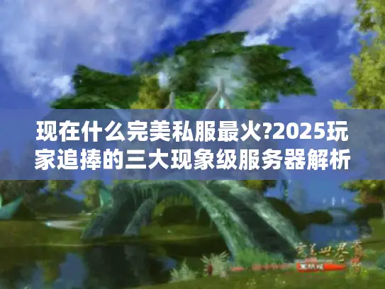 现在什么完美私服最火?2025玩家追捧的三大现象级服务器解析