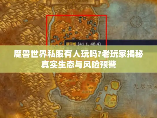魔兽世界私服有人玩吗?老玩家揭秘真实生态与风险预警
