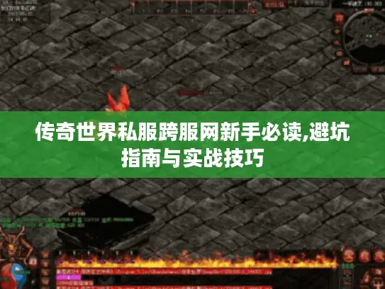 传奇世界私服跨服网新手必读,避坑指南与实战技巧 传奇世界私服跨服网新手必读,避坑指南与实战技巧
