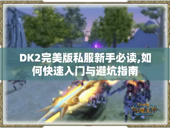 DK2完美版私服新手必读,如何快速入门与避坑指南
