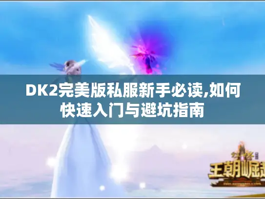 DK2完美版私服新手必读,如何快速入门与避坑指南