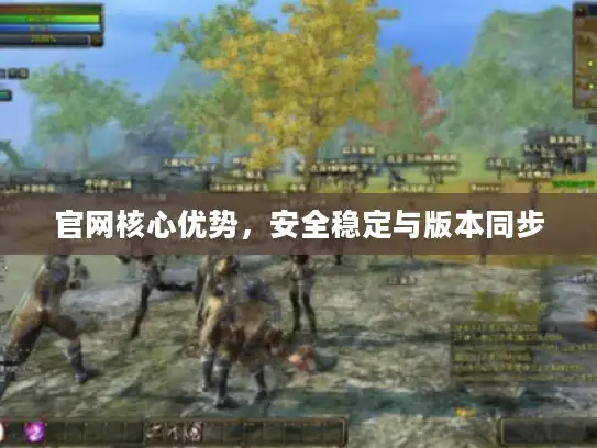 官网核心优势，安全稳定与版本同步