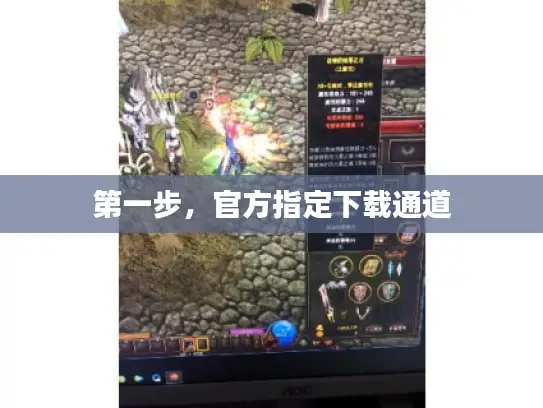 第一步，官方指定下载通道