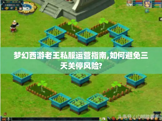 梦幻西游老王私服运营指南,如何避免三天关停风险?