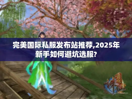 完美国际私服发布站推荐,2025年新手如何避坑选服?