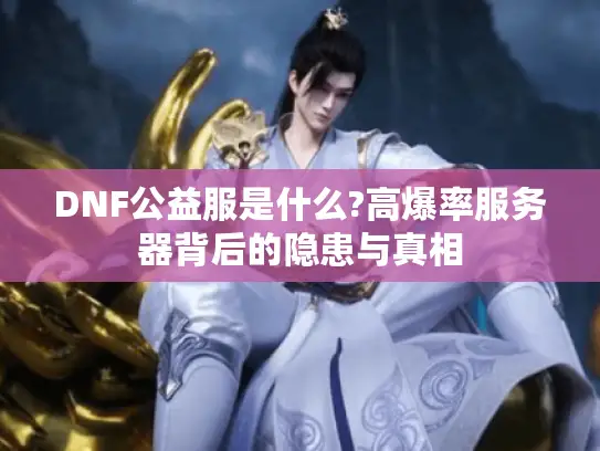 DNF公益服是什么?高爆率服务器背后的隐患与真相