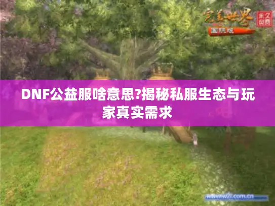 DNF公益服啥意思?揭秘私服生态与玩家真实需求