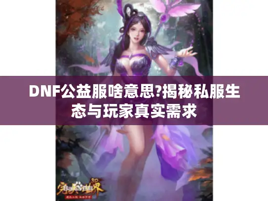 DNF公益服啥意思?揭秘私服生态与玩家真实需求