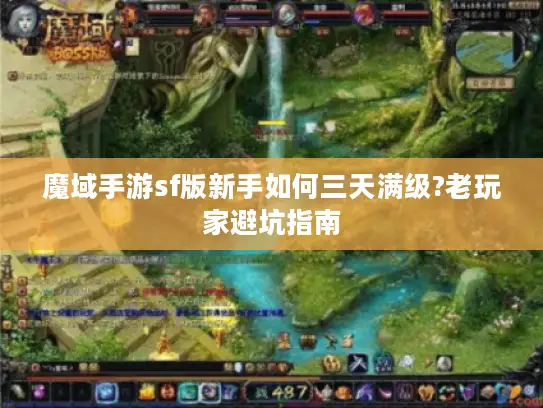魔域手游sf版新手如何三天满级?老玩家避坑指南 魔域手游sf版新手如何三天满级?老玩家避坑指南