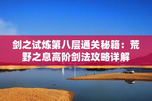 剑之试炼第八层通关秘籍：荒野之息高阶剑法攻略详解