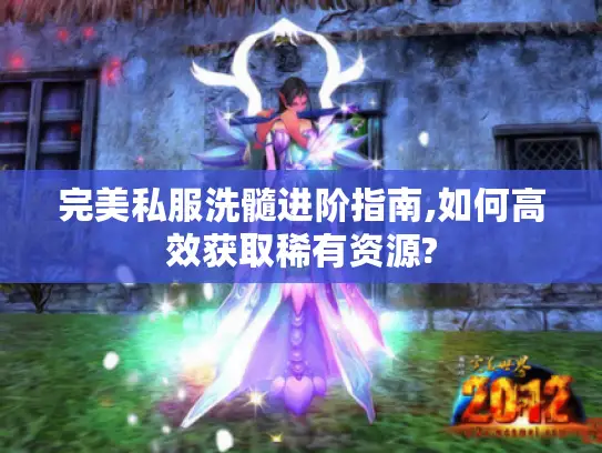 完美私服洗髓进阶指南,如何高效获取稀有资源?