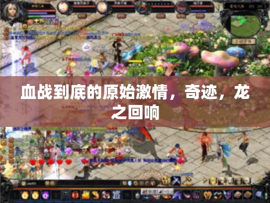 血战到底的原始激情，奇迹，龙之回响