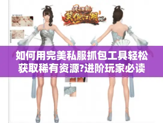 如何用完美私服抓包工具轻松获取稀有资源?进阶玩家必读指南
