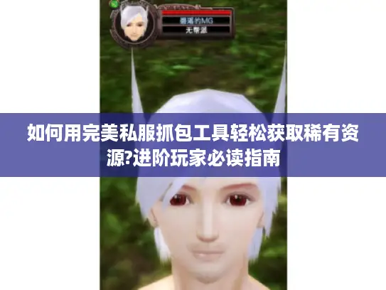 如何用完美私服抓包工具轻松获取稀有资源?进阶玩家必读指南
