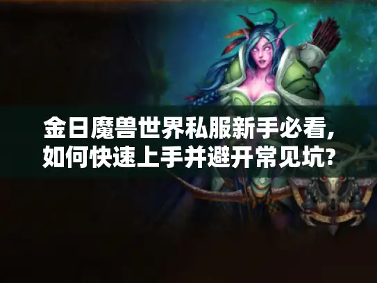 金日魔兽世界私服新手必看,如何快速上手并避开常见坑?