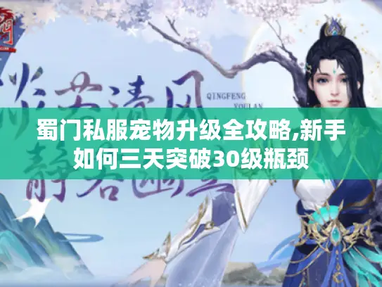 蜀门私服宠物升级全攻略,新手如何三天突破30级瓶颈