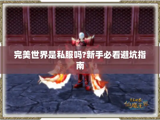 完美世界是私服吗?新手必看避坑指南