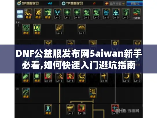 DNF公益服发布网5aiwan新手必看,如何快速入门避坑指南