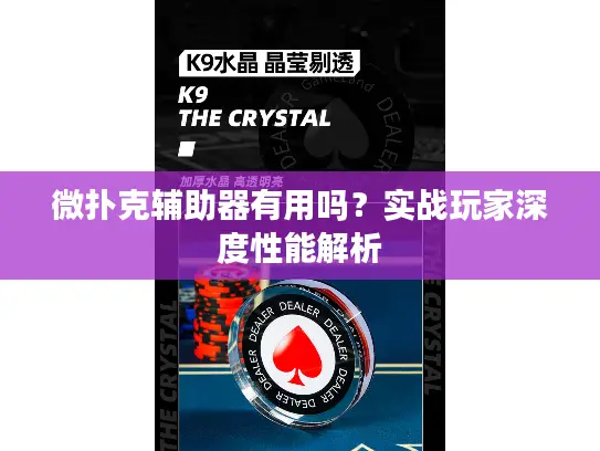 微扑克辅助器有用吗？实战玩家深度性能解析