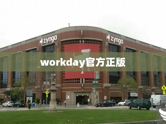 workday官方正版