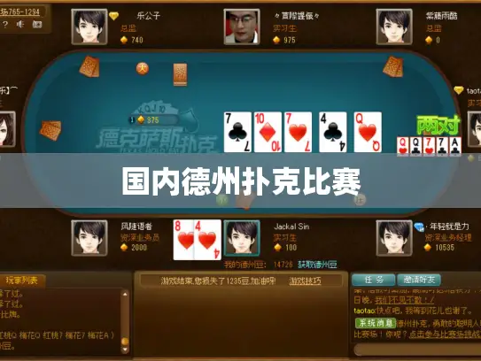 国内德州扑克比赛