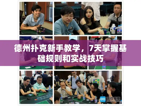 德州扑克新手教学，7天掌握基础规则和实战技巧