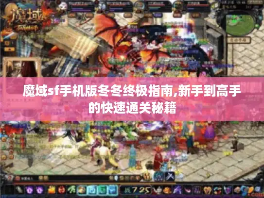魔域sf手机版冬冬终极指南,新手到高手的快速通关秘籍
