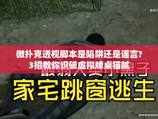 微扑克透视脚本是陷阱还是谣言?3招教你识破虚拟牌桌猫腻