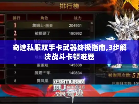 奇迹私服双手卡武器终极指南,3步解决战斗卡顿难题