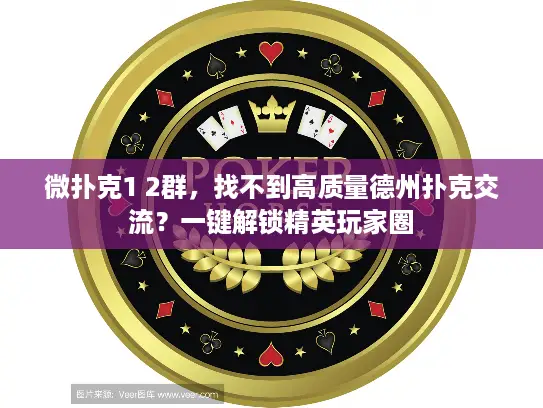 微扑克1 2群，找不到高质量德州扑克交流？一键解锁精英玩家圈