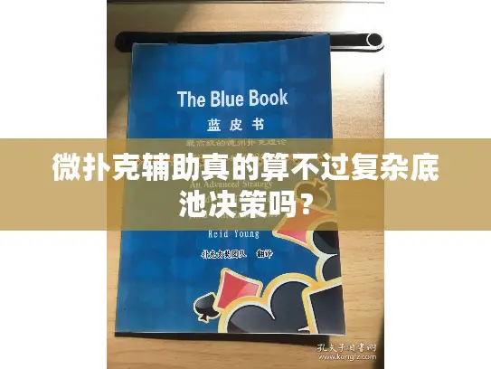 微扑克辅助真的算不过复杂底池决策吗? 微扑克辅助真的算不过复杂底池决策吗?