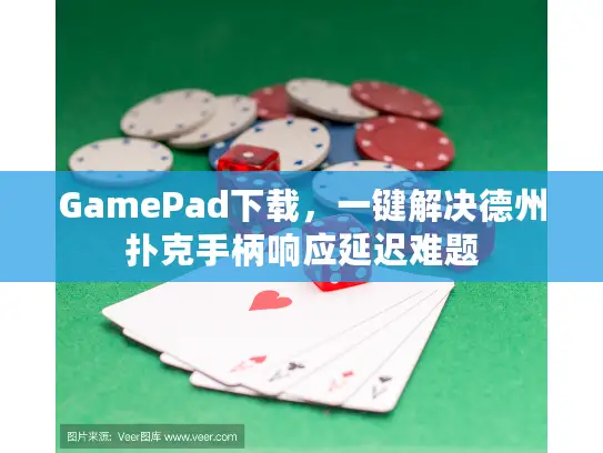 GamePad下载,一键解决德州扑克手柄响应延迟难题 GamePad下载,一键解决德州扑克手柄响应延迟难题