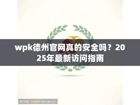 wpk德州官网真的安全吗？2025年最新访问指南