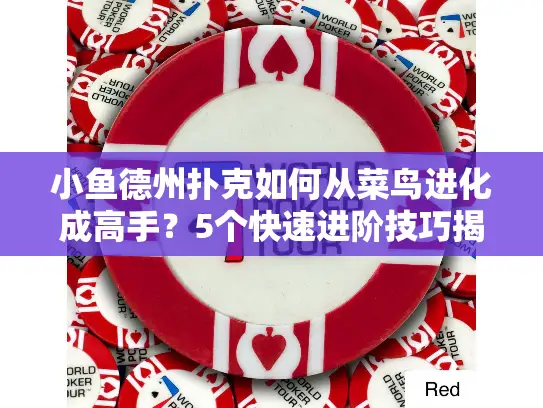 小鱼德州扑克如何从菜鸟进化成高手？5个快速进阶技巧揭秘